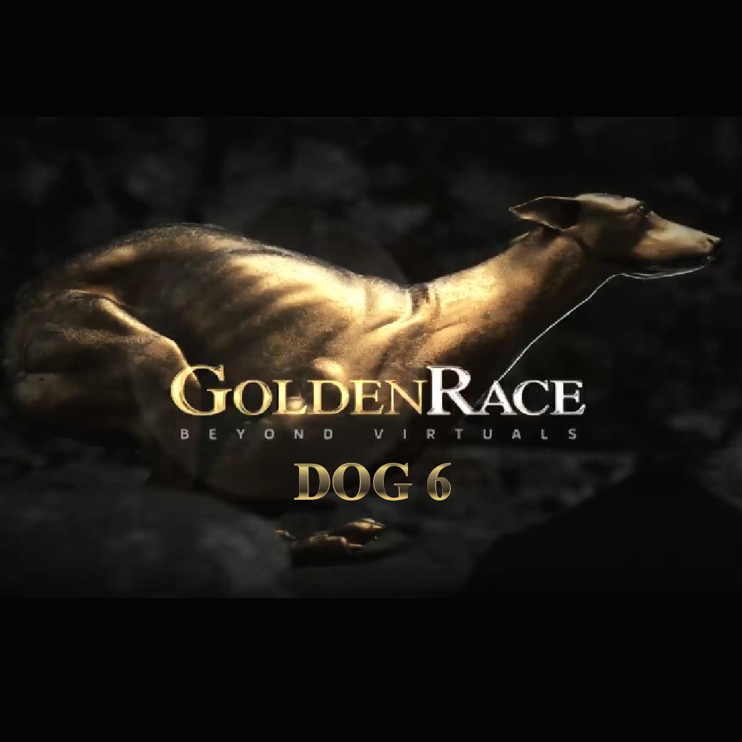GoldenRace Dog 6 Virtual