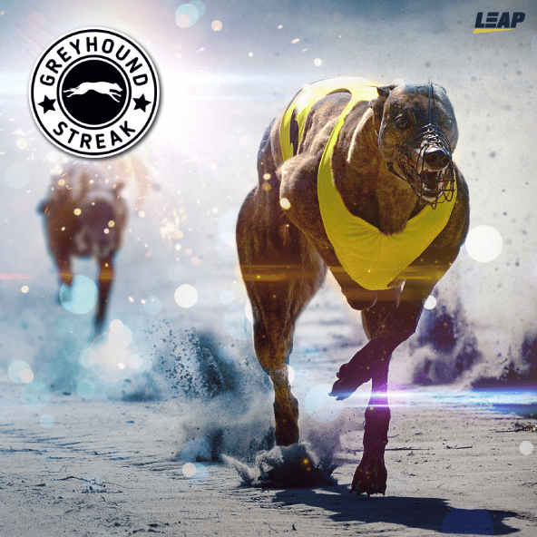 Greyhound Racing Virtual